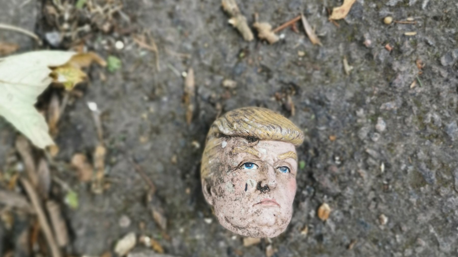 Cover Photo: A photo of a doll's head—which bears resemblance to Donald Trump—seemingly abandoned on the pavement, surrounded by leaves and dirt and sticks.